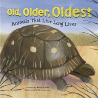 Old__Older__Oldest